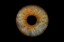 raph copie.webp