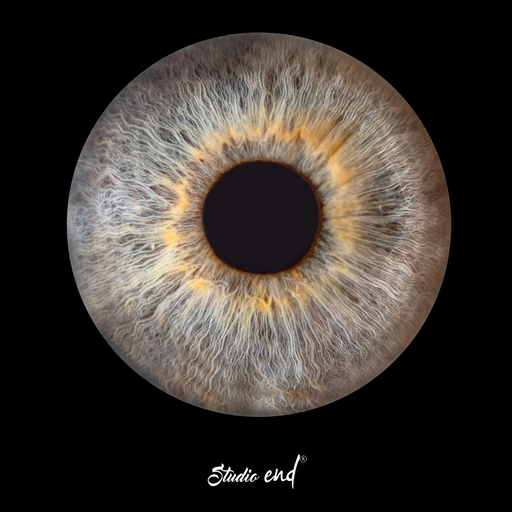 Photographie d'Iris  